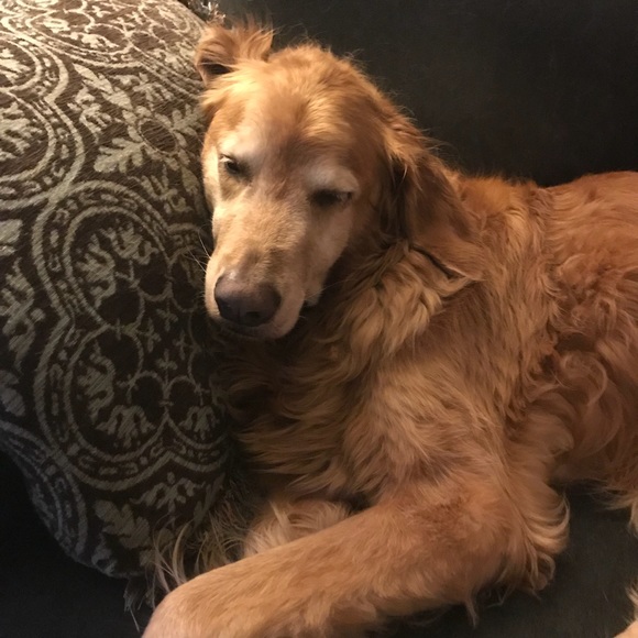 Meet your Posher, Lindsay - Picture 1 of 6